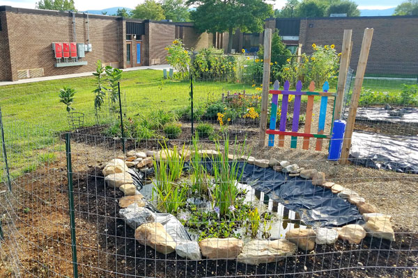 community garden pond